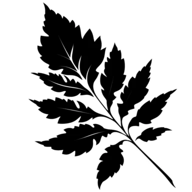 black silhouette leaf clipart