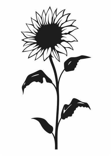 Simple outline of a sunflower, kids cartoon, minimalist, black on white, lineart, 2d flat file, silhouette, clipart, svg