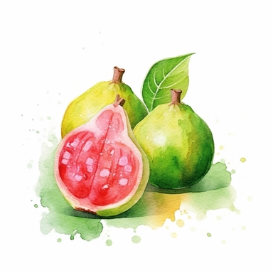 Guava logo watercolor,simple Watercolor, hyper realistic, white background, white margins, 16k, ultra detailed clipart, cut out image, hand - drawn, whimsical manhwa style, ultra HD, sharp and clean art