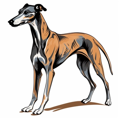 greyhound clipart