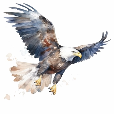 realistic watercolor flying bald eagle clipart, white background