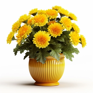 yellow Chrysanthemum, vibrant yellow, in a colorful pot, clipart, high quality, white background