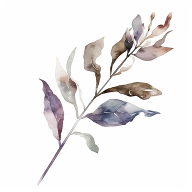 watercolor, a piece of botanical item clipart, faded barely visible color