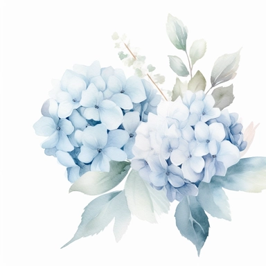 Dusty blue and white hydrangea and peony flowers watercolor, watercolor premade border, white simple background, no grass or green ground in the scene, no sky, pale watery color, hand painted original, pastel colors, Watercolor Flowers Clipart, airy dreamy pale color, modern minimal, v 4