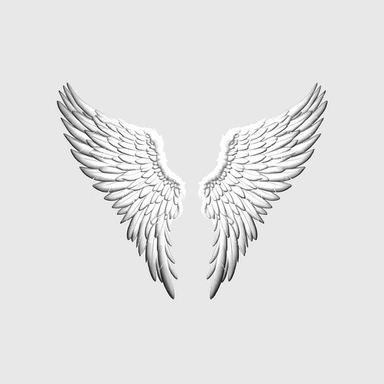 Angel Wings Svg , Angel Wings Clip Art, Wings Cut File For Silhouette, white background