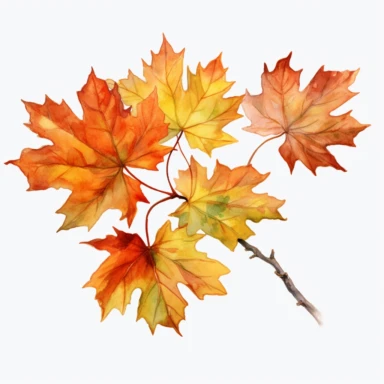 clipart, maple leaf branch abundant,details,watercolor