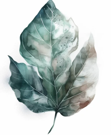 watercolor clipart illustration of a leaf green and grey, in the style of meticulous design, minimalistic serenity, light turquoise and dark white, oil paintings, dark green and light crimson, naturalistic poses, imitated material
