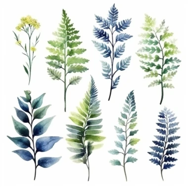 set of cute watercolors Fern Plant for kids book, white backgroun, clipart, clean and crisp