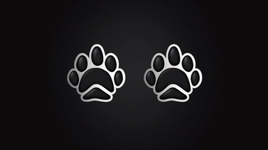 Dog and cat paw print symbol. Black and white silhouette icon or logo design element. Isolated vector clip art illustration, super realistic photo, ultra details, sharpness, copy space,