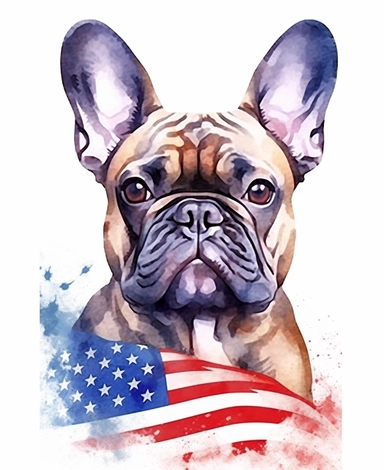Watercolor Patriotic French Bulldog werring a usa flag clipart, hd, isolated on white background, spaceout,hand drawing, thick lines, no shading, vivid color, low detail
