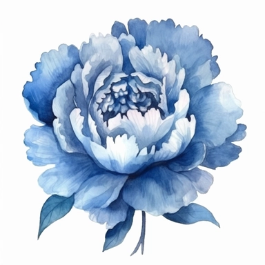 one Blue Peonies png, watercolour peony clipart, peony illustration, floral clipart, watercolour flower clipart, watercolour png, high relotion