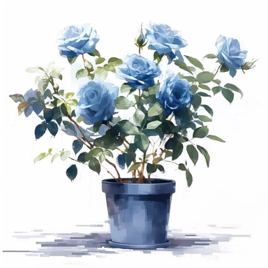 a simple gorgeous blue rose flowers tree growing out from a pot on white background clipart, png, watercolor painting realistic, high quality, vibrant, Vicente Romero Redondo, Willem van Aelst, Elsa Beskow