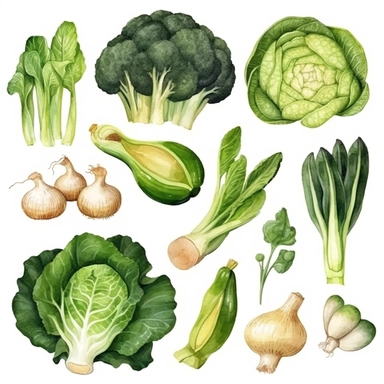 Green vegetables watercolor illustration. Food hand drawn clipart collection. Botanical elements clipart set. Leek, celery, bok choy, cabbage. cucumber, artichoke, cauliflower clip art