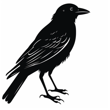 crow clipart, white background,