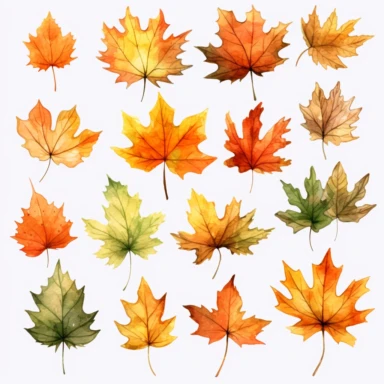 watercolor, It is an illustration set of various fallen leaves. png Full body realistic cartoon in 32K UHD cute. 15 cm thick outline. Black color. There was no shadow on the ground. 8k with realistic watercolors and detailed illustrations. PNG clipart, transparent white background