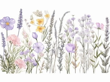 Clip art set.Fragrant Oasis: Lavender, Chamomile, and Sweet Woodruff. Soft, Gentle, color pallete. perfect for adding a whimsical and romantic touch to invitations, stationery, and more, vector, contour, white background, clipart set, spaced out