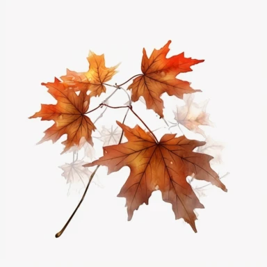 Maple autumn leaves and branches, Clipart, white isolated background, space out, hd, 8k, realistic