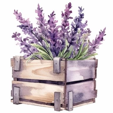 Purple Lavender, watercolour, crate, clipart design, pure white background, uplighted