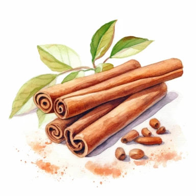 Watercolor realistic cinnamon isolated oil painting clipart white background