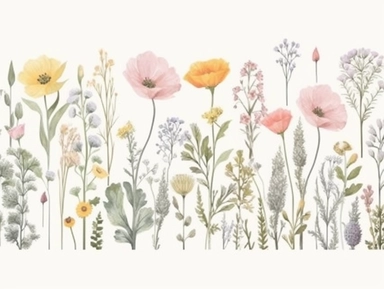 Clip art set.Delicate Blooms: Poppies, Sweet Alyssum, and Buttercups. Soft, Gentle, color pallete. perfect for adding a whimsical and romantic touch to invitations, stationery, and more, vector, contour, white background, clipart set, spaced out