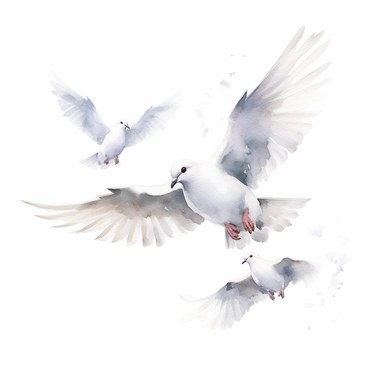 drawn illustration of a doves, clip art, watercolor, digital art, HD, white background, clean line art