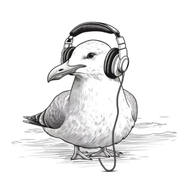 whimsical clipart seagull on the beach wearing headphones listening to music, eyes closed, isolated white background, contour, minimalist