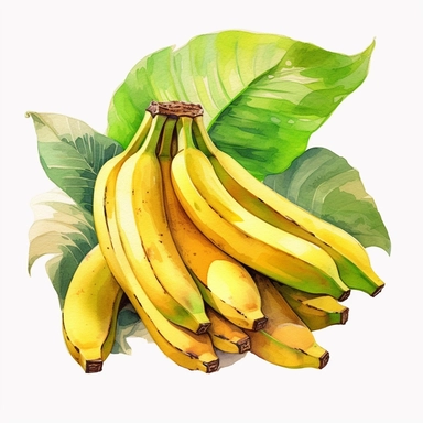 watercolor style, clip art, banana bunch