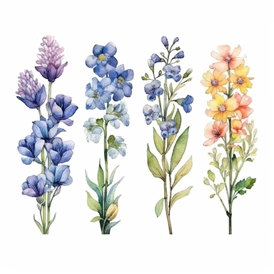 Design a captivating hand-drawn watercolor clip art image featuring a family gift niche adorned with birth flowers. Customize the image for a family of six: a January baby (Snowdrop), a May baby (Hawthorn), a July baby (Delphinium), a September baby (Morning Glory), an October baby (Cosmos), and a December baby (Narcissus). Add a gentle watercolor texture to the background, giving the image a vintage and artistic feel.