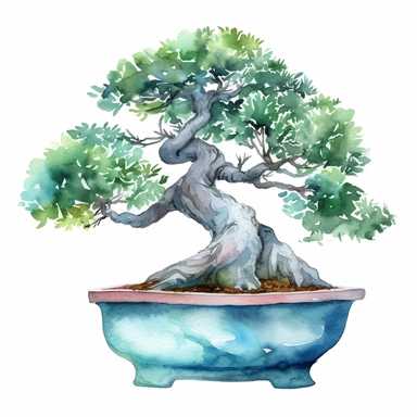 Watercolor bonsai in pot clipart, white background