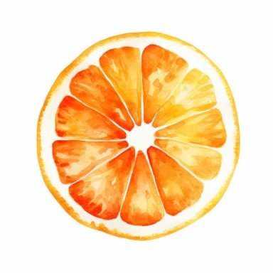single orange slice, watercolor clipart, minimalist, bright colors, isolated white background, 8k