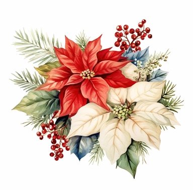 vivid poinsettia Christmas arrangement clipart, watercolor effect, high definition, red green white gold blue, white background, image only