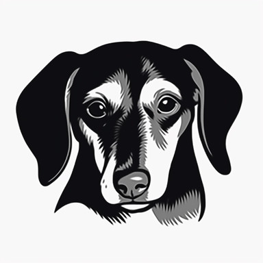simple outline of a front facing Dachshund head, kids cartoon, minimalist, black on white, lineart, 2d flat file, silhouette, clipart, svg
