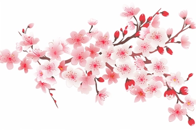Clean,Minimal floral design in a white background, clip art, Cherry Blossom, vector art