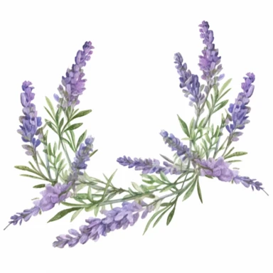Design a dreamy watercolor clipart of Provence-inspired cascading garland made of fresh lavender and olive leaves composition, hand-painted with soft and graceful brushstrokes. Draw inspiration from the artistic finesse of Ethereal Petals Watercolors for a refined and ethereal depiction. isolated on a white background, hand-drawn illustration, hand-painted watercolor texture, 16k UHD resolution, intricately detailed, sharp focal points, designed by Ana Victoria Calderon and Holly Exley, i can't 