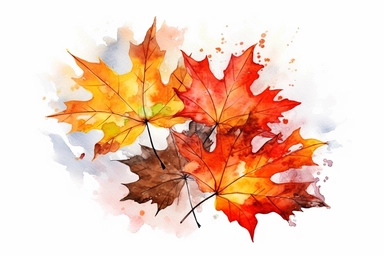 Watercolor, Create an image capturing the beauty of reniform leaves in autumn colors, clipart, hd, on a white background, spaced out