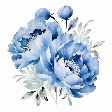 Blue Peonies png, watercolour peony clipart, peony illustration, floral clipart, watercolour flower clipart, watercolour png