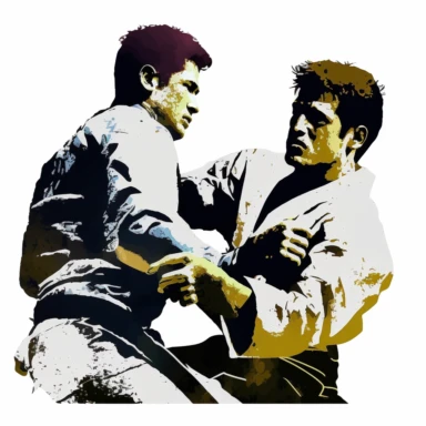 Two brazilian jiu jitsu fighting, clipart, white background