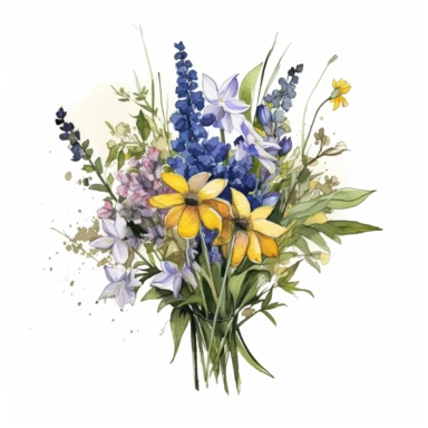 Wildflower Bouquet: Combine a mix of native UK and American flowers with a natural, wildflower aesthetic. Pair bluebells, forget-me-nots, and primroses from the UK with black-eyed Susans, coneflowers, and lupines from America, Arrange them in a loose, hand-tied bouquet for a charming and rustic look, watercolour flower arrangement clipart, vector, daisies intermingled with greenery, white background, no captions, ar 2:2 repeat 10