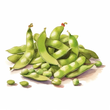 Edamame (boiled and salted soybeans) watercolor clipart in white background