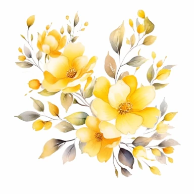 watercolor Sunshine Yellow floral line for decoration, style of Pierre-joseph redoute, png, clipart, hd, contour white outline, isolated on white background