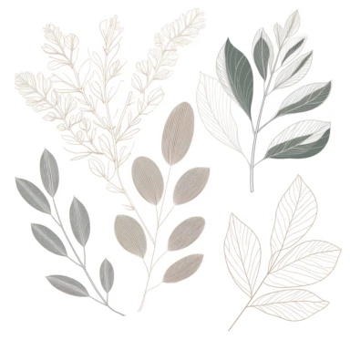 simple vector illustration, botanical, leaves and branches, leaf, branch, silhouette, elegant, outline, hand drawn, clipart svg, all white background