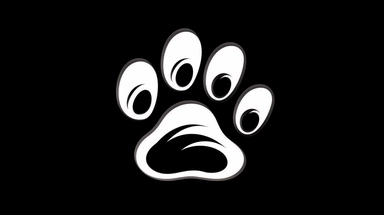 Dog and cat paw print symbol. Black and white silhouette icon or logo design element. Isolated vector clip art illustration, super realistic photo, ultra details, sharpness, copy space,