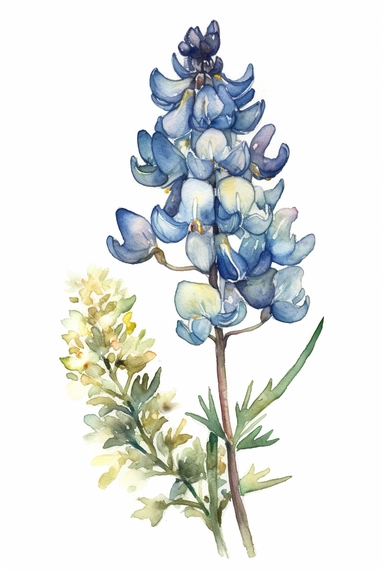 watercolor, Bluebonnet flower, clipart hd, on white background, dreamy, spaced out