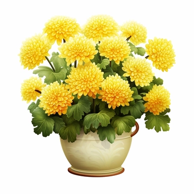 yellow Chrysanthemum, vibrant yellow, in a colorful pot, clipart, high quality, white background