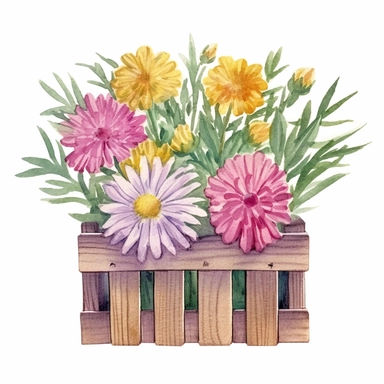 Design a dreamy watercolor clipart of frenchfarmhouse-inspired Asters, celosia, and daisies arranged in a rustic wooden crate composition, hand-painted with soft and graceful brushstrokes. Draw inspiration from the artistic finesse of Ethereal Petals Watercolors for a refined and ethereal depiction. isolated on a white background, hand-drawn illustration, hand-painted watercolor texture, 16k UHD resolution, intricately detailed, sharp focal points, designed by Ana Victoria Calderon and Holly Exl