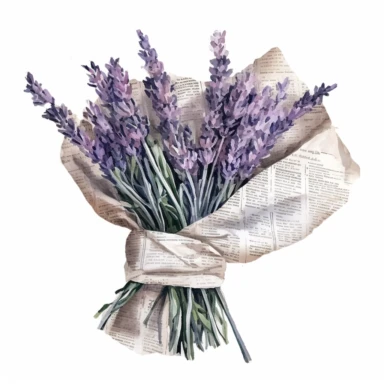 Pastel lavender bunch wrapped in a newspaper, clipart style, watercolor, on a white background, high quality