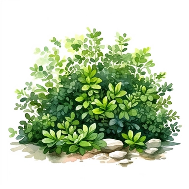 clipart, green lively bushes and scrubs, solid watercolor art style, ultra realism, pure white background