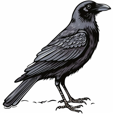 crow clipart, white background,