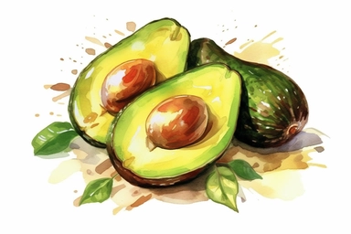 fresh chopped avocado, Clipart, On White Background, Vector Art, Spaced Out, Detailed