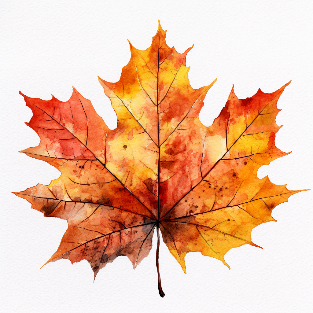 autumn leaf clipart